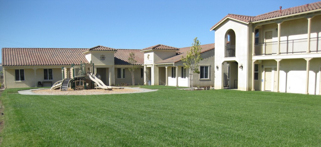 Bridge-to-life-1024x470